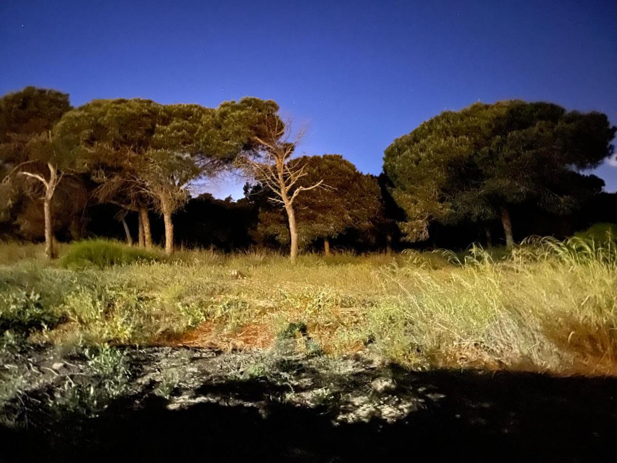 Casa De La Duna Costa Blanca 拉马他 外观 照片